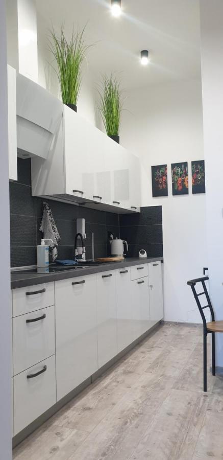 Apartamenty Rynek R Przemyśl Dış mekan fotoğraf